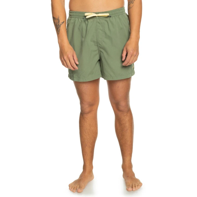 Image of Quiksilver Everyday Volley Swim Shorts Swim Shorts Small Green 31725115350
