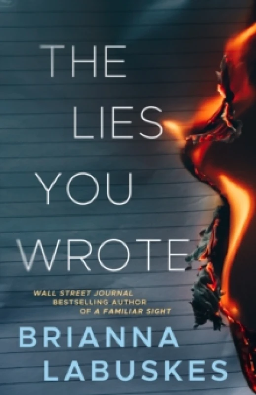 Image of The Lies You Wrote Paperback / softback