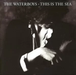 Image of This Is the Sea by The Waterboys CD Album