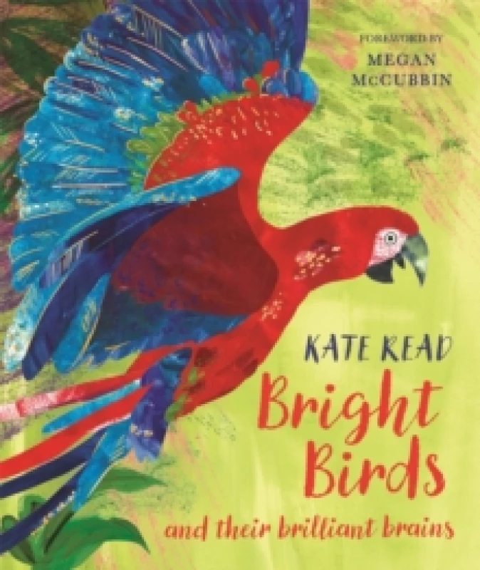 Image of Bright Birds : and their brilliant brains Hardback