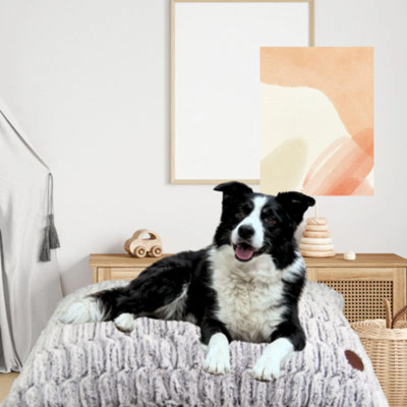 Image of Snug & Cosy Pets Snug And Cosy Pets Novara Lounger Brown 90Cm X 60Cm