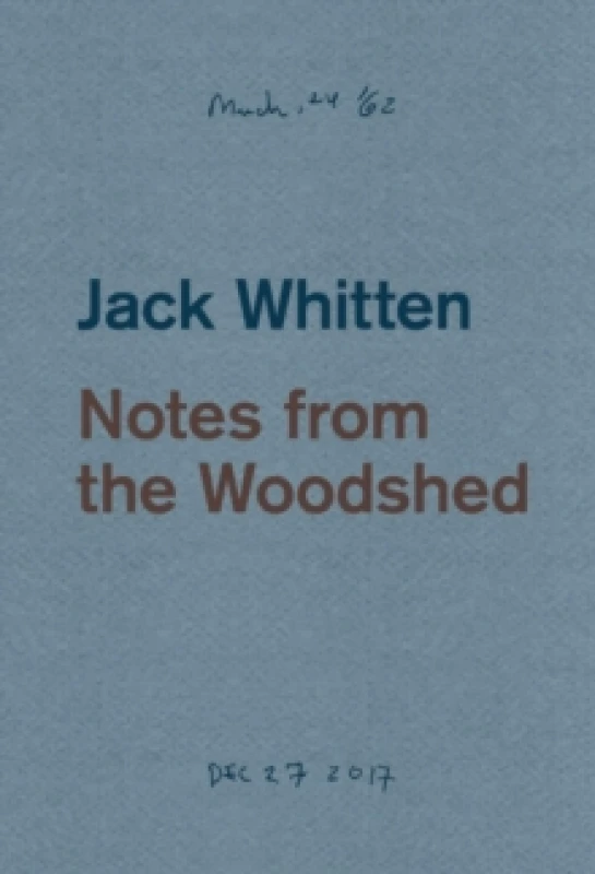 Image of Jack Whitten: Notes from the Woodshed Paperback / softback
