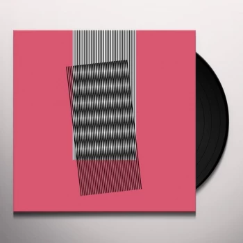 Image of Hot Chip - Why Make Sense? Vinyl