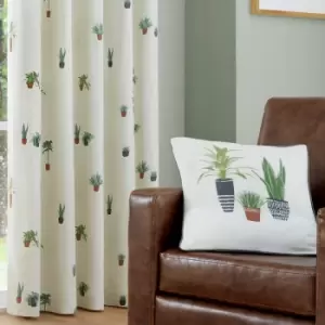 Image of Fusion Cactus Print 100% Cotton Piped Edge Filled Cushion, Multi, 43 x 43 Cm