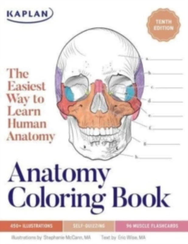 Image of Anatomy Coloring Book with 450+ Realistic Medical Illustrations with Quizzes for Each Paperback / softback