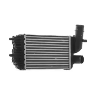 Image of RIDEX Intercooler FIAT,PEUGEOT,CITROEN 468I0163 0384E4,0384G8,E256097 Turbo Intercooler,Intercooler, charger 1307012080,1340934080,1307012080,0384E4