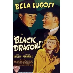 Image of Black Dragons DVD