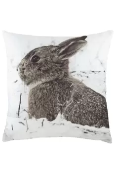 Image of Photo Hare Printed Cushion