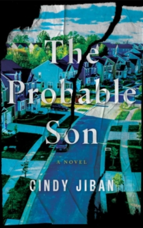 Image of The Probable Son : A Novel Paperback / softback