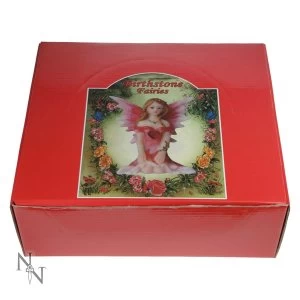 Image of Birthstone Fairies Box of 24