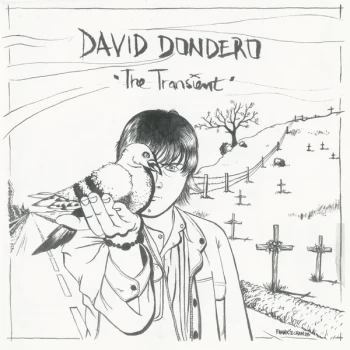 Image of David Dondero - Transient Vinyl