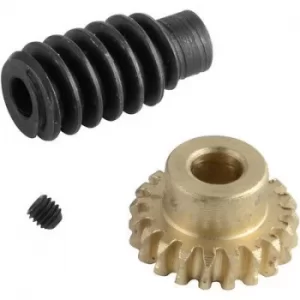 Image of Reely Brass, Steel Worm gear set Module Type: 0.75 No. of teeth: 40