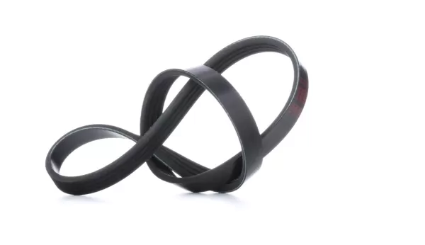 Image of FEBI BILSTEIN V-ribbed belt RENAULT,PEUGEOT,DACIA 28769 6001548021,8200211651,4PK709 4PK710,4PK711,4PK712,4PK713,4PK714,4PK715,575069,6001548021