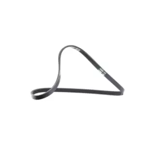 Image of DAYCO V-ribbed belt 3PK740 Serpentine belt,Auxiliary belt RENAULT,DACIA,TWINGO I (C06_),CLIO II (BB0/1/2_, CB0/1/2_),KANGOO (KC0/1_)