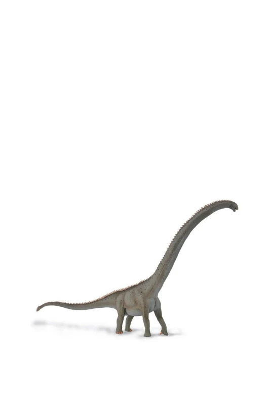 Image of CollectA Mamenchisaurus Dinosaur Toy in Grey Grey Unisex