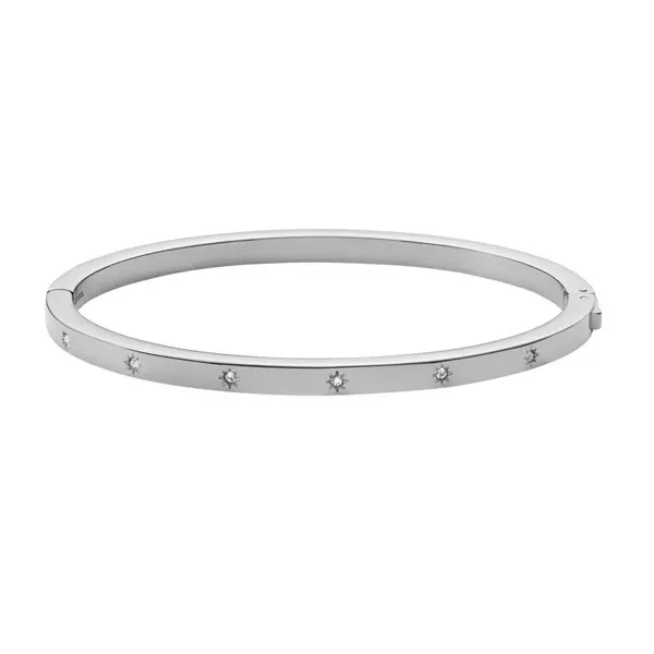 Image of Fossil JF04420040 Sadie Shine Bright Bangle - J49315