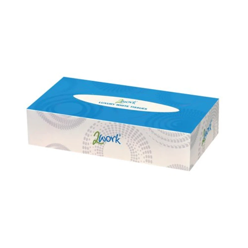 Image of 2Work Facial Tissues Box 100 Sheets 2-Ply (Pack of 36) CPD11210
