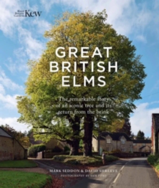 Image of Great British Elms : The remarkable story of an iconic tree and its return from the brink Hardback