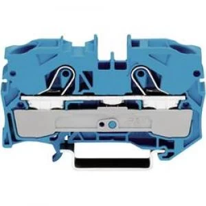 Image of Continuity 10 mm Pull spring Configuration N Blue