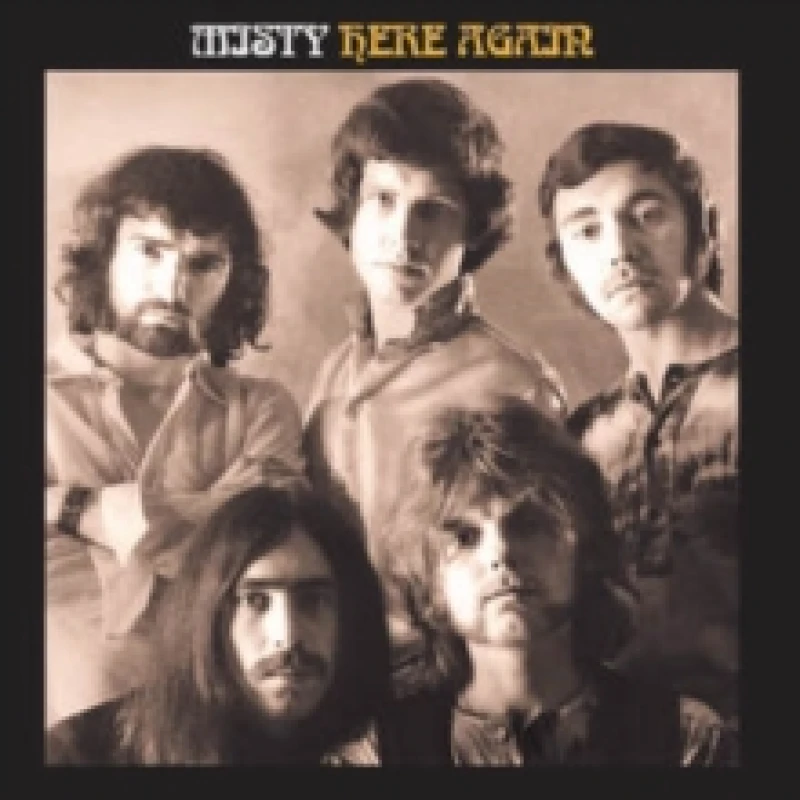 Image of Here Again Vinyl