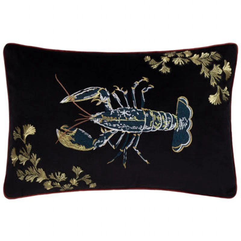 Image of Paoletti Paoletti Atlantica Embroidered Velvet Cushion in Black Size: 40cm x 60cm Black 40cm x 60cm Unisex 5025532847294