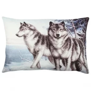 Image of A50864 Multicolor Cushion