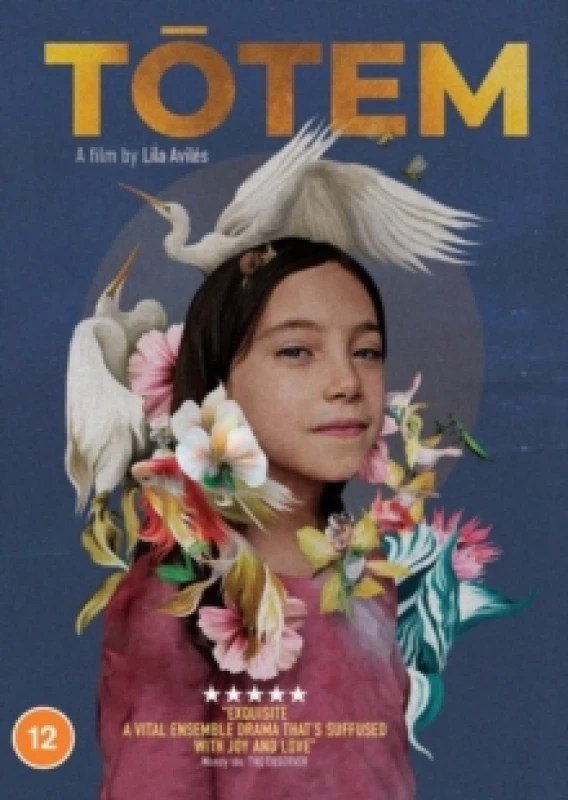 Image of Totem DVD