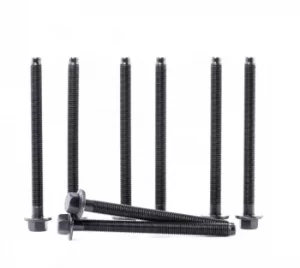 Image of REINZ Cylinder Head Bolt Kit PEUGEOT,CITROEN,LAND ROVER 14-32344-01 0204A8,0204A88X,13313168x Bolt Kit, cylinder head 0204A8,0204A88X