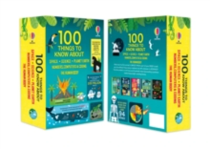 Image of 100 THINGS TO KNOW SETS Paperback / softback