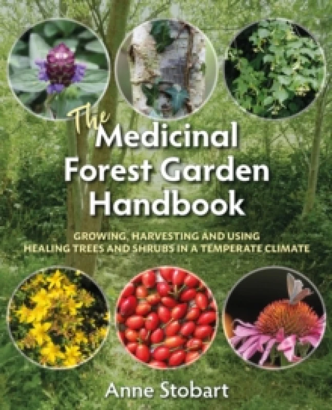 Image of The Medicinal Forest Garden Handbook : Growing, harvesting and using healing trees and shrubs in a temperate climate Paperback / softback