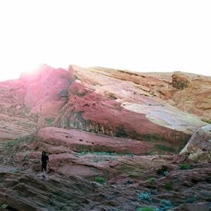 Image of Tamaryn The Waves Vinyl