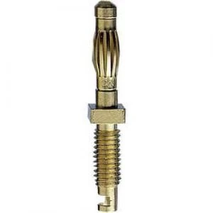 Image of Edge connector pins Plug straight Pin diameter 4mm Brass St