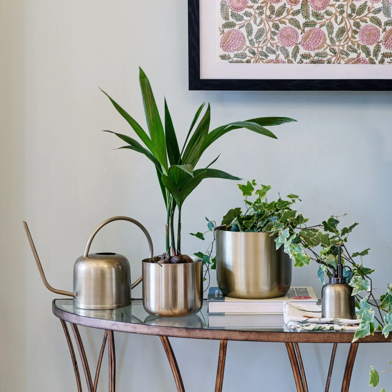 Image of Royal Botanic Gardens Kew Kew Matt Brass Plant Mister 14Cm Metallic Gold