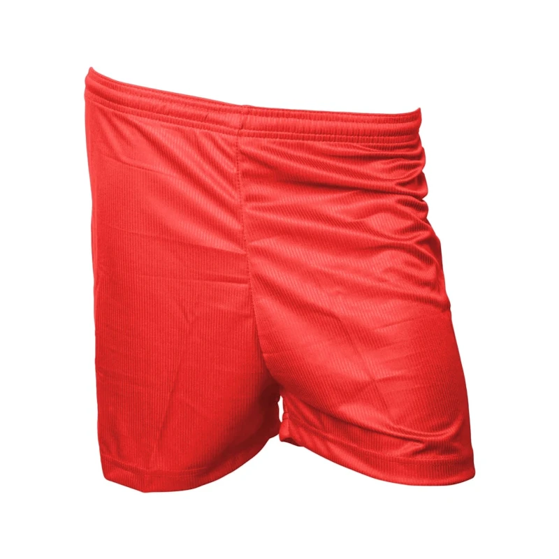 Image of Precision Precision Men Micro-Stripe Football Shorts in Red Size: Small Red S Male 5059699059894