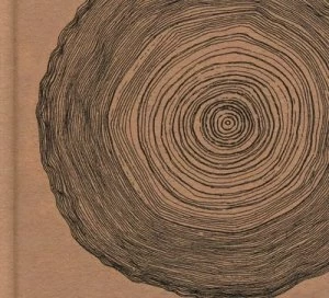 Image of Year of the Rabbit by Eskimeaux CD Album