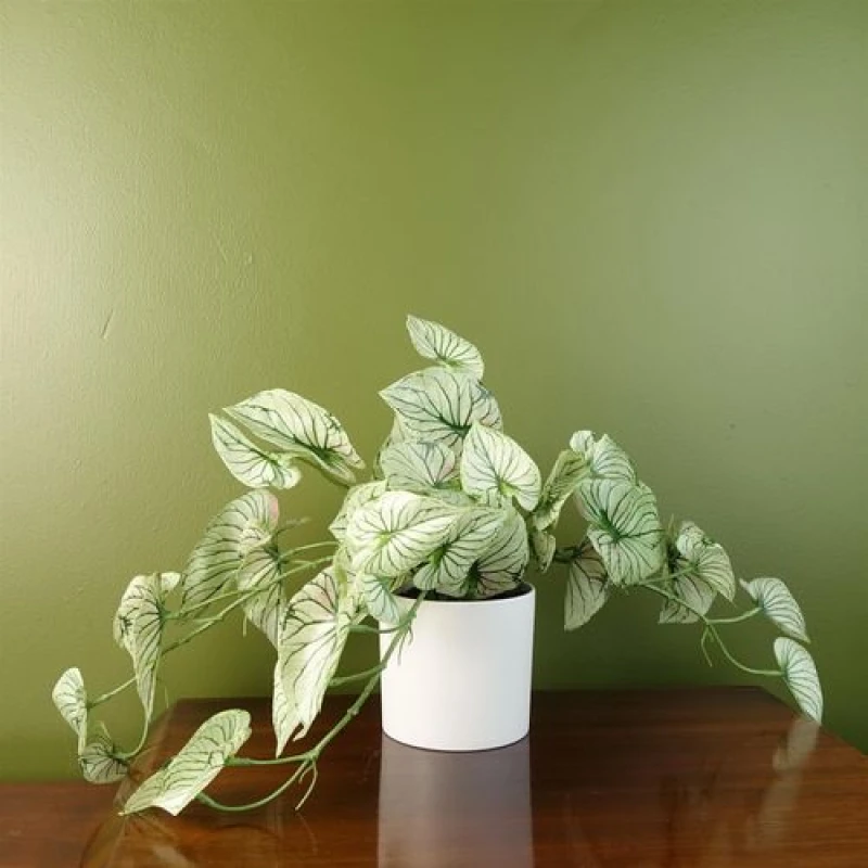 Image of Leaf 30cm Artificial Trailing Plant Realistic Variegated Potted Alocasia Green
