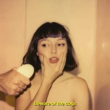 Image of Stella Donnelly - Beware Of The Dogs Vinyl