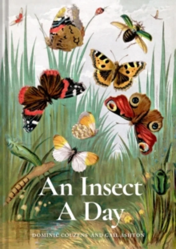 Image of An Insect A Day : Bees, bugs, and pollinators for every day of the year Volume 6 Hardback
