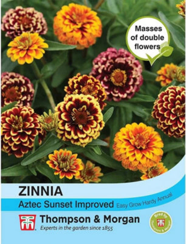 Image of Thompson & Morgan Zinnia Haageana Aztec Sunset 1 Packet (20 Seeds)