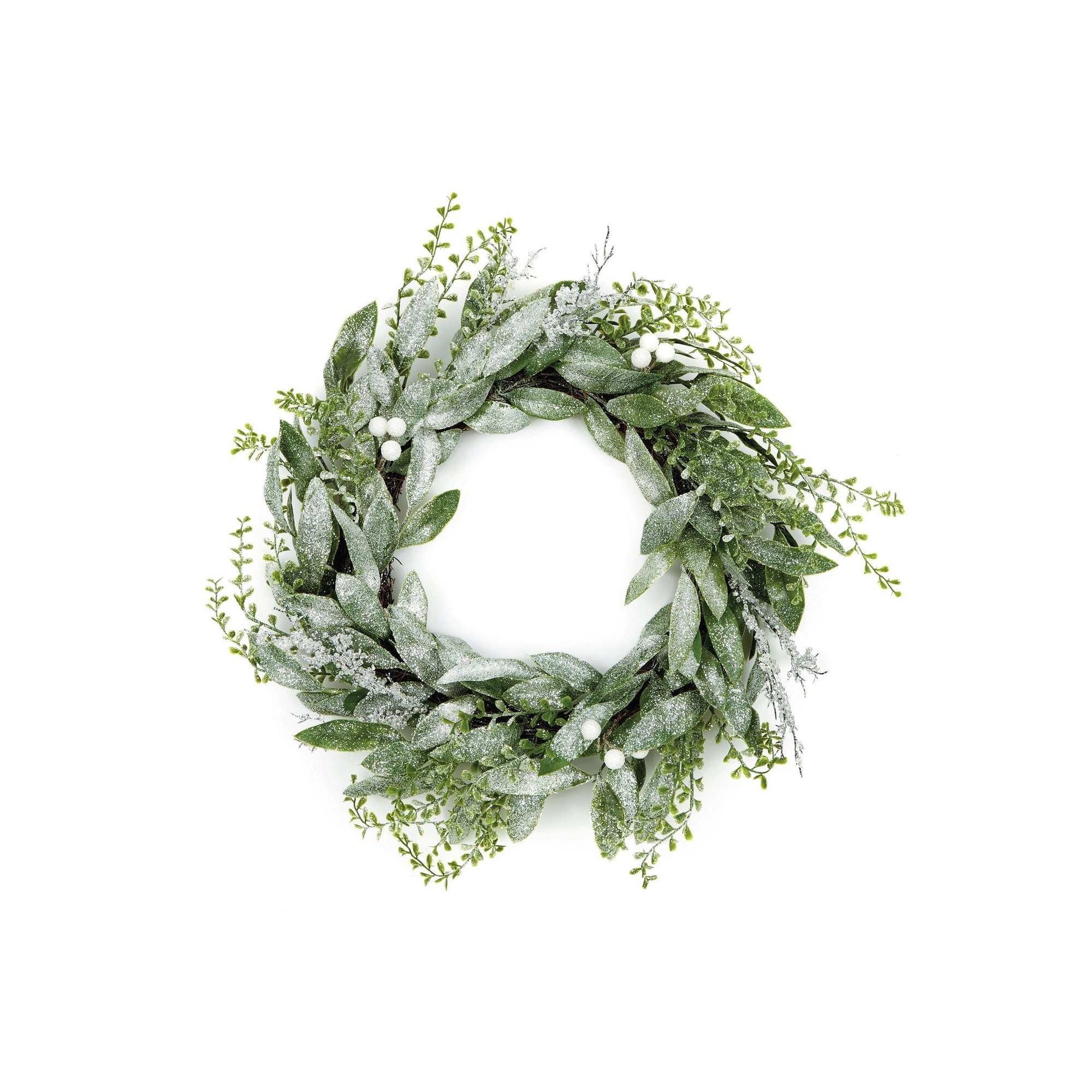 Image of Premier 50cm Frosted Eucalyptus Wreath PP and PE plastics