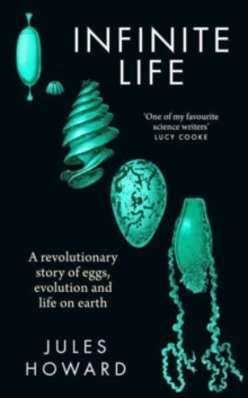 Image of Infinite Life : A Revolutionary Story of Eggs, Evolution and Life on Earth Hardback