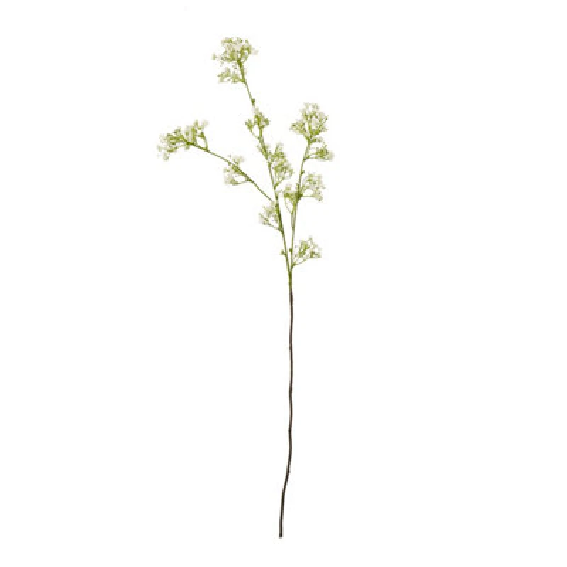Image of Cream Gypsophila Spray