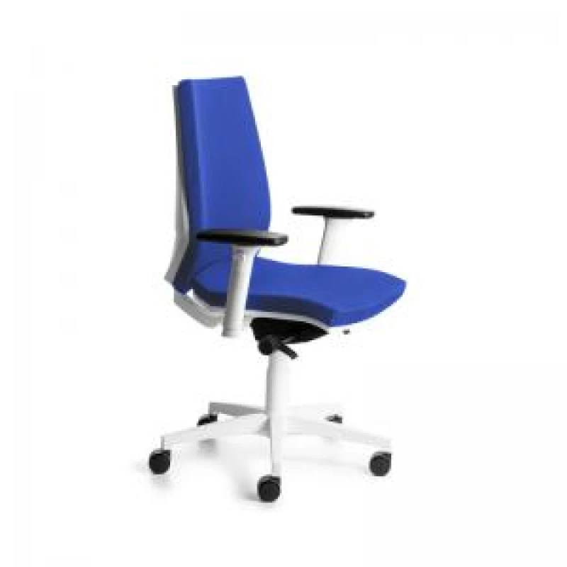 Image of ROCADA ERGOLINE Professional Chair with White Frame - Blue