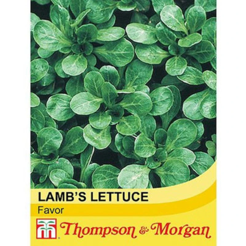Image of Thompson & Morgan Salad Leaves Lambs Lettuce Favor 1 Seed Packet