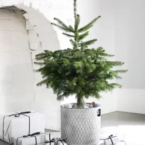 Image of Indoor Zinc Christmas Tree Bucket 23cm Zinc