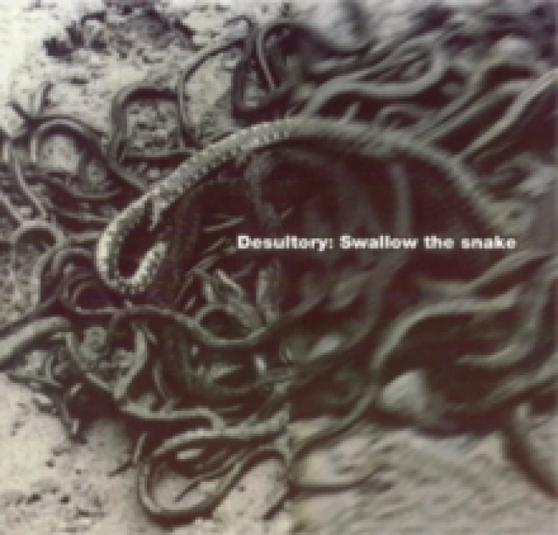 Image of Swallow the Snake Vinyl