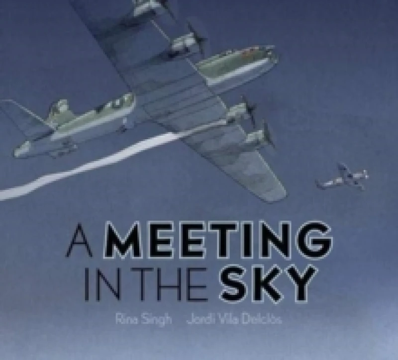 Image of Rina Singh A Meeting in the Sky Book Multi unisex