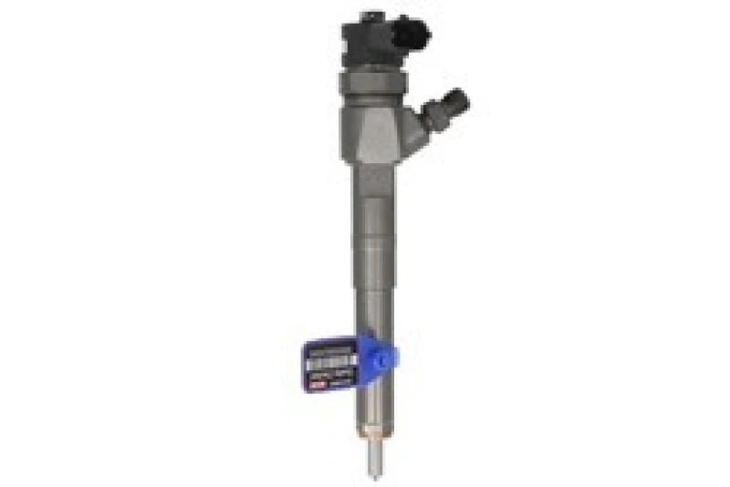 Image of Bosch 0 445 110 300 Injectors with seal ring Injector Nozzle (3902)