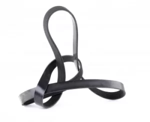 Image of FEBI BILSTEIN Poly V-Belt PEUGEOT,CITROEN,FIAT 28941 5750EL,5750GJ,5750S6 Ribbed Belt,V Ribbed Belt,Multi V Belt,Poly Belt,V-Ribbed Belts 5750X6,5750