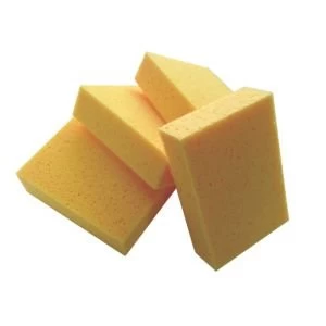 Image of BQ Sponge Pack of 4